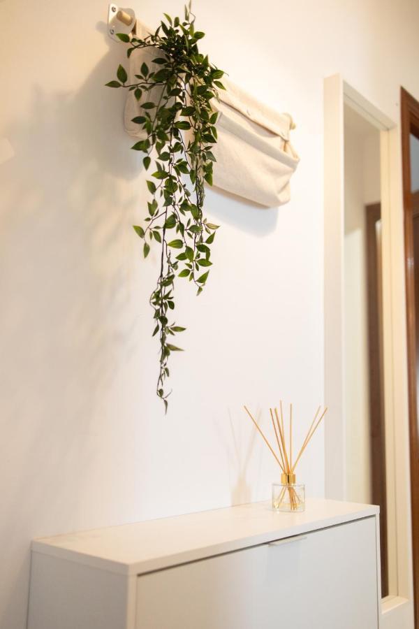 Apartamento Unicornio Sanlúcar de Barrameda Buitenkant foto